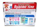 Навчальні пазли. Будова тіла - Зображення 2