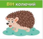Вивчаємо займенники ВІН, ВОНА, ВОНО, ВОНИ (навчальні картки) - Зображення 2