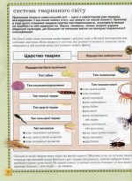 Велика енциклопедія тварин | В.Б.Бейко - Зображення 5