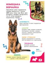 Я люблю песиків - Зображення 6