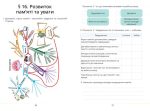 Здоров’я, безпека та добробут. Робочий зошит-практикум для 8 класу | Т.В.Воронцова - Зображення 5