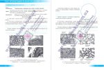 Біологія. Зошит для дослідницьких робіт. 8 клас (за прогр. П. Балан та ін.) | Міщук Н.,Барна Л. - Зображення 3