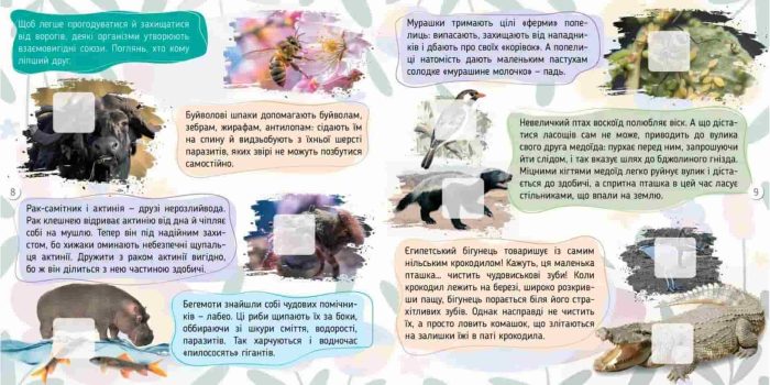 Комахи. 100 цікавинок | Шаповалова К.В. - Зображення 3