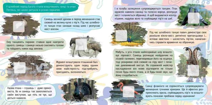 Комахи. 100 цікавинок | Шаповалова К.В. - Зображення 2