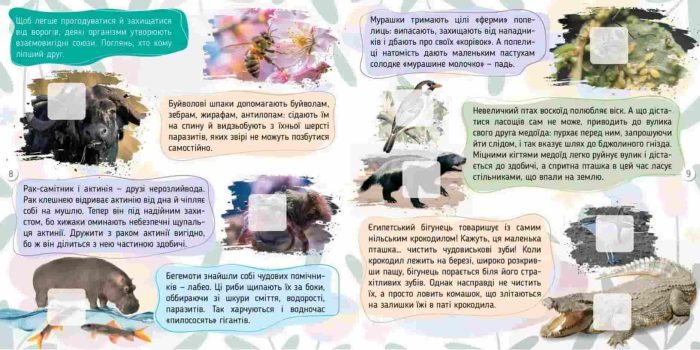 Тварини. 100 цікавинок | Шаповалова К.В. - Зображення 3