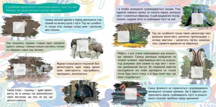 Тварини. 100 цікавинок | Шаповалова К.В. - Зображення 2