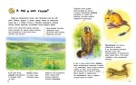 Енциклопедія дошкільника. Україна | Каспарова Ю.В. - Зображення 3