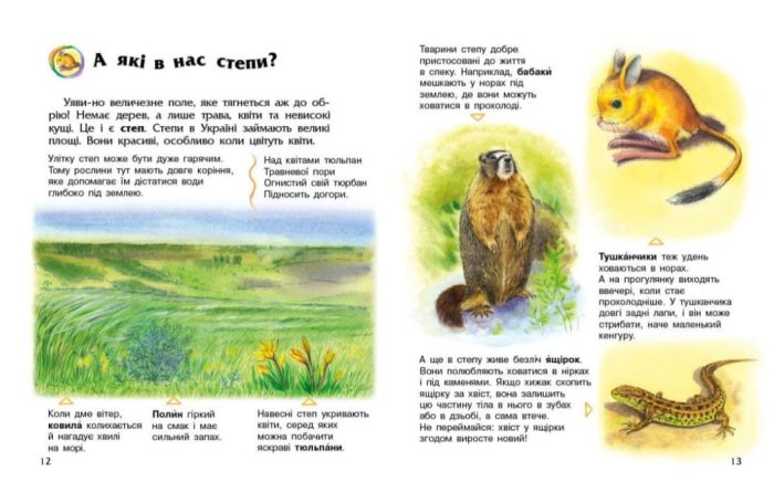 Енциклопедія дошкільника. Україна | Каспарова Ю.В. - Зображення 3