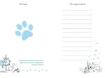 About my cat - Зображення 4