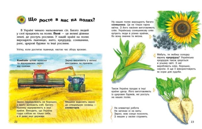 Енциклопедія дошкільника. Україна | Каспарова Ю.В. - Зображення 4