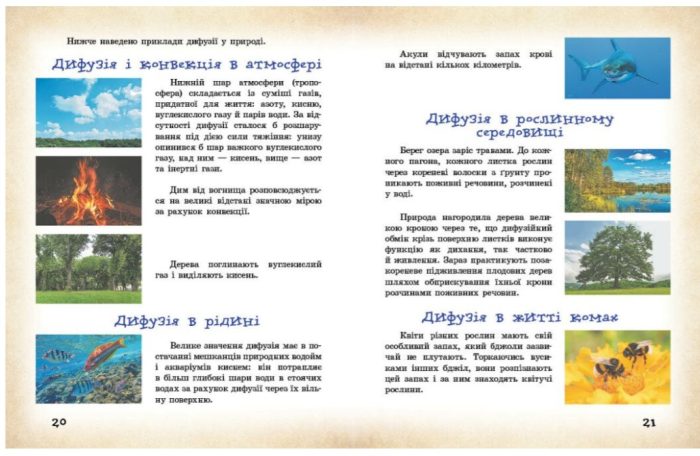 НУШ Фізичні явища навколо нас. 7-8 клас | Годована Н.Б. Кравець Т.А. - Зображення 4