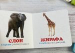 Навколишній світ для найменших. У зоопарку - Зображення 3