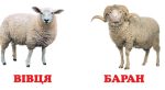 Навколишній світ для найменших. Свійські тварини - Зображення 2