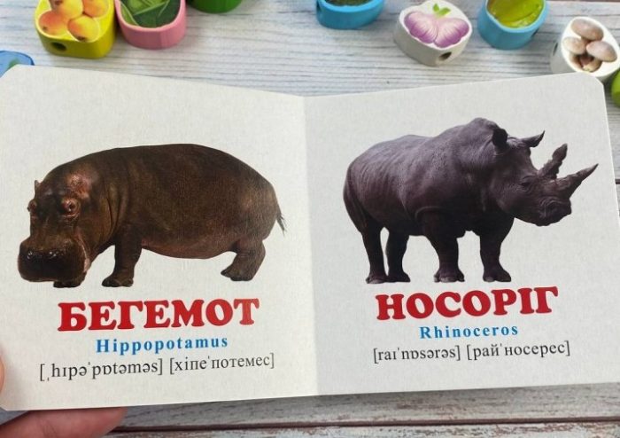 Навколишній світ для найменших. У зоопарку - Зображення 2