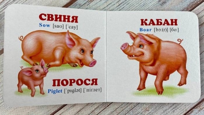 Навколишній світ для найменших. Мами, тати, малюки - Зображення 3
