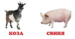 Навколишній світ для найменших. Свійські тварини - Зображення 3
