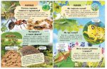 Енциклопедія Комахи та інші. Життя маленьких істот - Зображення 2