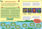 Літня книга розваг. Ігри та завдання на щодень | Альона Пуляєва - Зображення 3