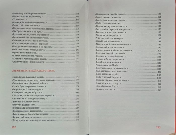 Вітер з Марса. Нова книга поезій Ліни Костенко - Зображення 8