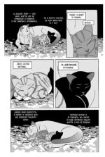 Коти-вояки. Манґа 7. Тигрозір і Саша. Повернення до Кланів | Ерін Гантер - Зображення 3