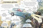 Міні-Поттери: Рон Візлі . Маленькі путівники історіями Дж. К. Ролінґ - Зображення 3