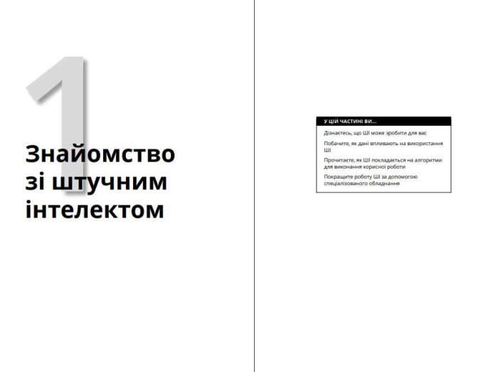 Штучний інтелект для розумак | Джон Пол Мюллер, Лука Массарон, Стефані Даймонд - Зображення 2